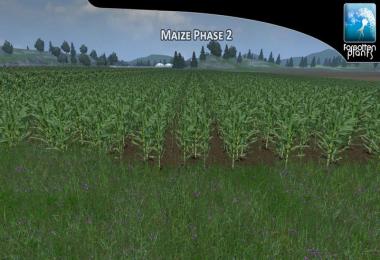 Forgotten Maize Plants v1.0