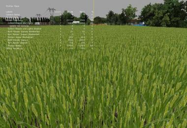 Green wheat texture v1.0