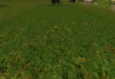 Grass texture v1.0