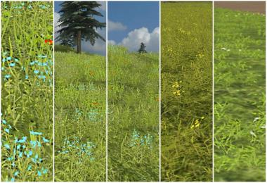 Dahemac's Grass Texture With Flowers v2