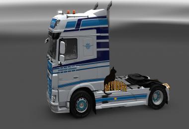 DAF XF E6 by Ohaha Hohner Spedition skin 1.25