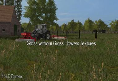Grass Texture - No Flowers v1.1