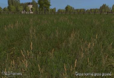 Grass Texture - No Flowers v1.1