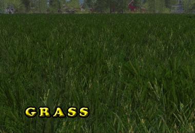 Grass texture, fillplanes, foliage and Terrain Ground v1