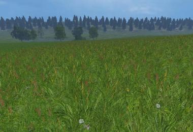 New grass texture v6.1