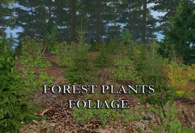 FOREST PLANTS FOLIAGE v1