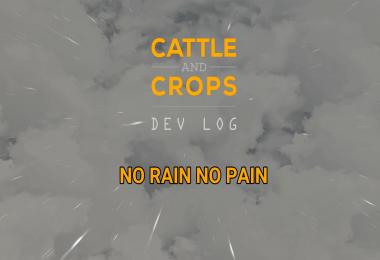 CaC - DevLog - No Rain - No Pain