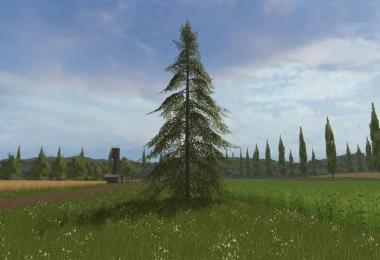 Small fir tree v1.0