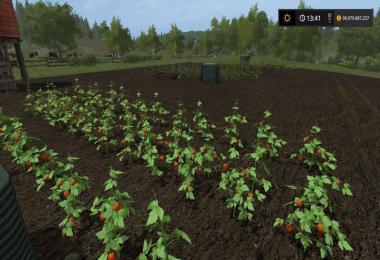 Placeable Tomato field v1.0