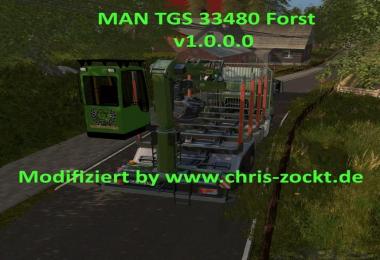 MAN TGS forestry v1.0.0.0