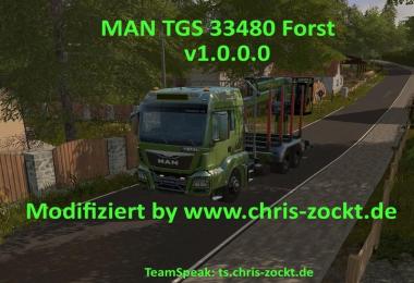 MAN TGS forestry v1.0.0.0