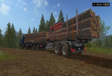 Forest extension for the MAN TGS 6x / 8x / 10x AR-Pack v2.0