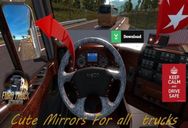 Cute Mirrors for all Trucks