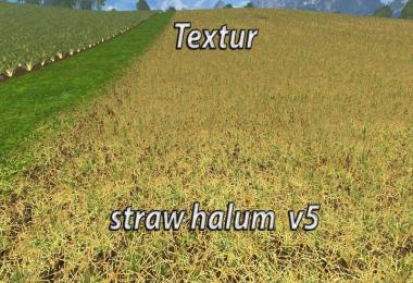Texture ChoppedStraw v5.0