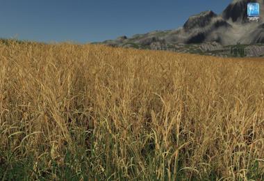 Forgotten Plants - Wheat / Barley v1.0