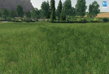 Forgotten Plants - Grass / Acre v1.0.0