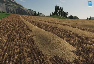 Forgotten Plants - Wheat / Barley v1.1.0