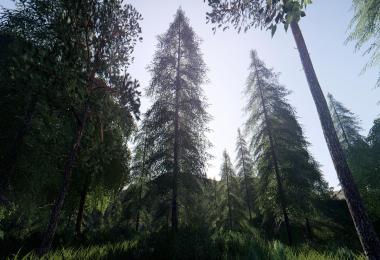Reshade v4.0.2 Better Colors & Realism by animatiV