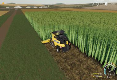 KIWI FARM STARTER MAP 4X MULTI FRUIT (Patch update 1.3) v2.0