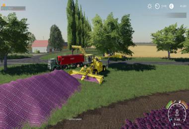 Carrots, onions and cabbage crops v1.7