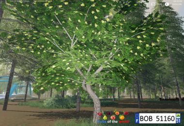 FS19 Fruits Trees By BOB51160 v1.0.0.0