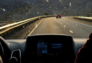 INSECTS ON WINDSHIELD v1.1