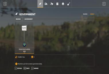 Government Subsitity v1.0.1