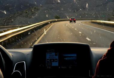 Insects on windshield v1.2