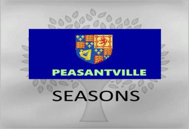 FS19 GEO peasantville v1.1