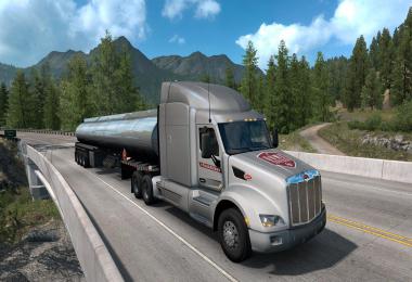 Skin [TruckAtHome] scssoft for ats 1.36.x