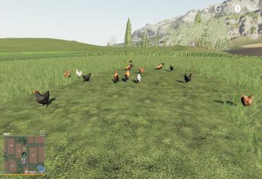 FS19 Free Range Chickens v1.0