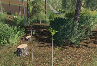 Player Plant Trees v1.0.0.0