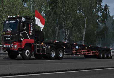 MAN TGS Euro 5 REWORKED (Russian and Asian Spec) 1.38