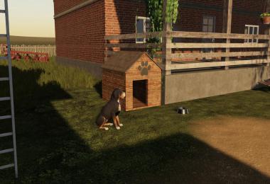 Polish Dog House v1.0.0.0