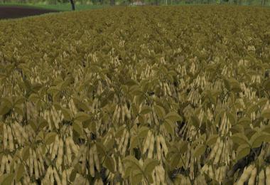 Modified soy texture v1.0.0.0