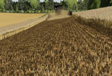 Barley / wheat texture v1.0.0.0