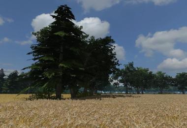 A Polish Map v1.1 andere texture