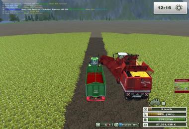 Crop fodder beet v1.0
