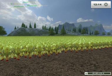 Crop fodder beet v1.0