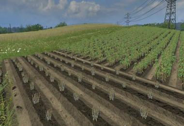 Real potatoes texture v1.0