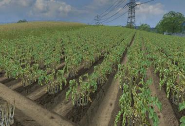 Real potatoes texture v1.5