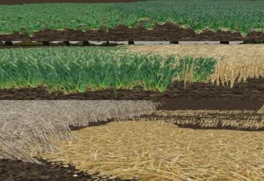 Real Textures Pack v1.0