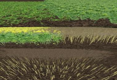 Real Textures Pack v1.0