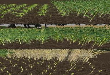 Real Textures Pack v1.0