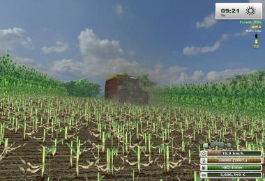 Schuitemaker Siwa 370 v1.2 MR