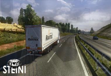 Volvo FH16 2012 Ravitex Skin