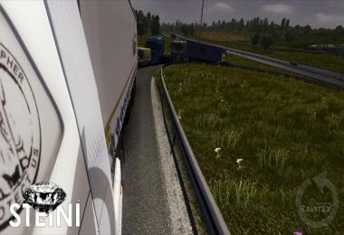 Volvo FH16 2012 Ravitex Skin