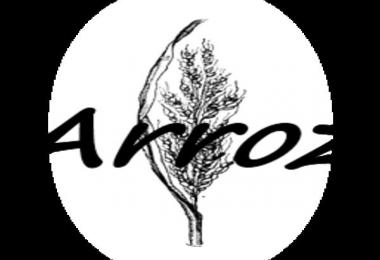 Arroz v1.0