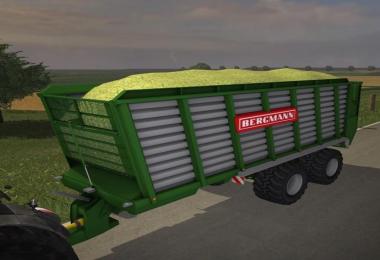 Bergmann HTW 45 v0.92