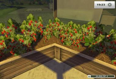 Extension Strawberry v2.0
